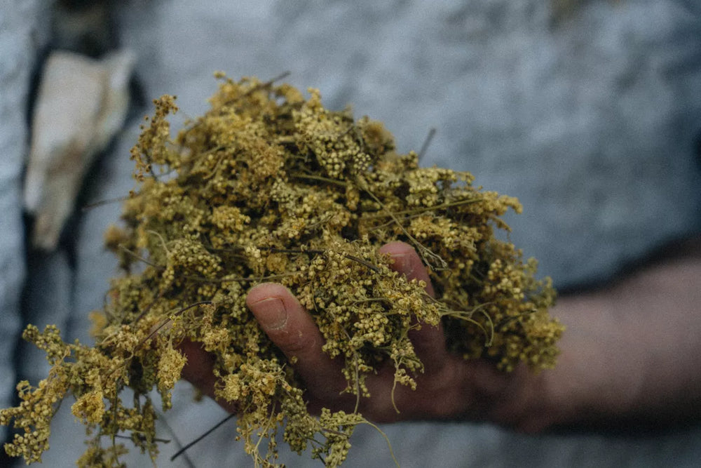 Bière BLONDE sans alcool ni gluten 33cl - RUN'HARD