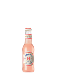 Soda Craft Pamplemousse Bio Hysope 20 cl
