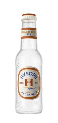 Ginger Beer spicy Bio Hysope 20 cl Sanzalc, cave sans alcool pour adultes décomplexés